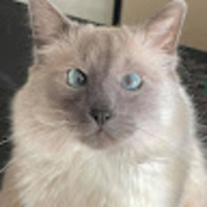 Meet your Posher, Terry